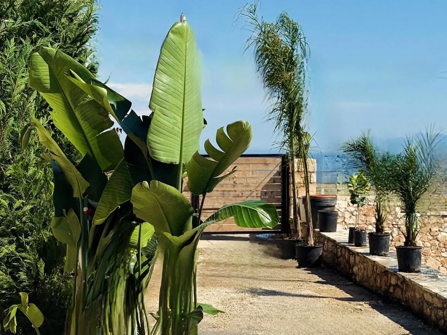 Filikur Stone Villa Himarë
