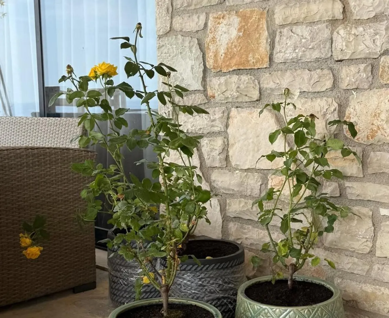 Filikur Stone Villa Himarë